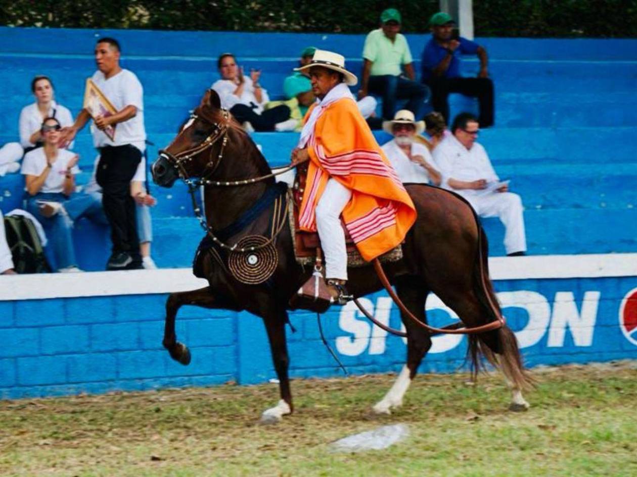 Comayagua celebra primer concurso departamental de caballos peruanos de paso