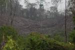 La Unidad Investigativa de EL HERALDO Plus encontró un apocalipsis en la zona núcleo de la Reserva de la Biosfera del Río Platano.