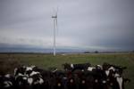 Uruguay genera casi toda su electricidad de fuentes renovables. Energía eólica en un parque cerca de Montevideo. (Nicolas Garcia/Agence France-Presse — Getty Images)