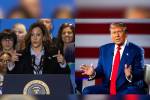 La vicepresidenta Harris y el expresidente Trump se verán las caras por primera vez.