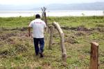 La contaminación sigue acechando al Lago de Yojoa, con invasiones, deforestación, ganadería y cultivos sin control de las autoridades.