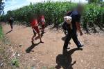 Este par de niños le siguen los pasos a sus padres en la frontera entre Nicaragua y Honduras, en el viaje la familia decidió traer a su mascota