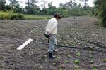 Para que las hortalizas estén listas para la venta en el mercado necesitan al menos 90 días de riego continuo. Las hortalizas, por lo general, son frágiles ante la sequía y una plantación no duraría ni 10 días sin riego.