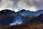 Imagen de archivo tomada por un fotorreportero de EL HERALDO en un incendio en el bosque hondureño.