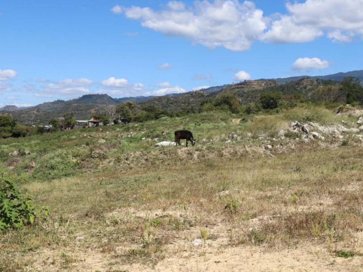 Solo monte se ve en Villa Solidaridad, lugar donde construirían casas a damnificados