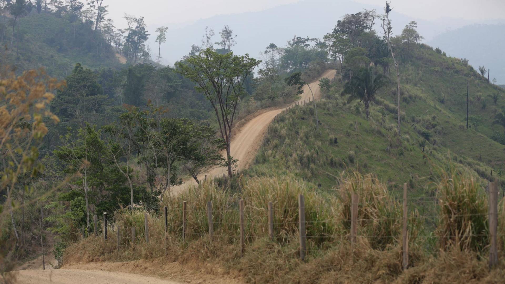 $!Algunos tramos de las narcocarreteras son sumamente inclinados, pero eso no detiene el avance. Los antecedentes muestran que después la deforestación continúa sin piedad.