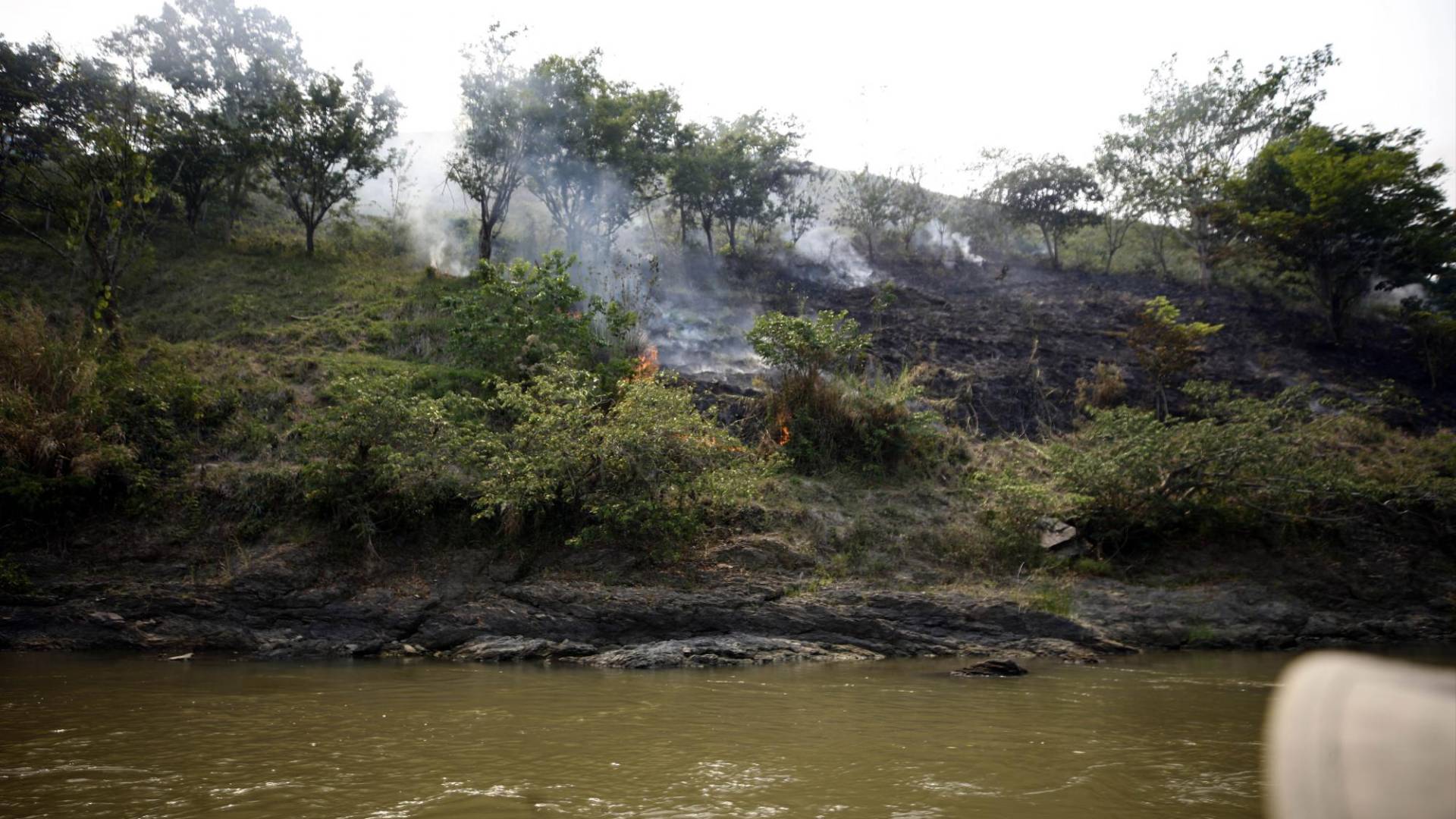 $!El cambio de suelo, de bosque a potrero, causa un daño irreversible a los ecosistemas del río Coco o Segovia.