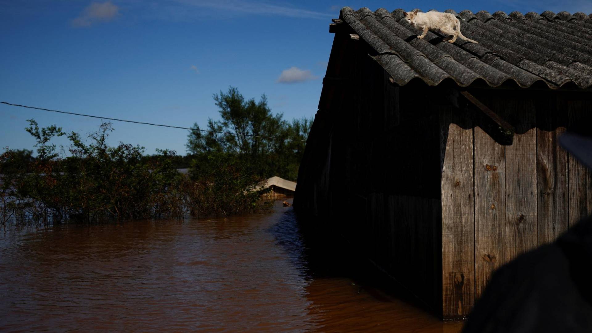 $!Un gato varado en el techo de una calle inundada el mes pasado en Canoas, en el Estado de Rio Grande do Sul.