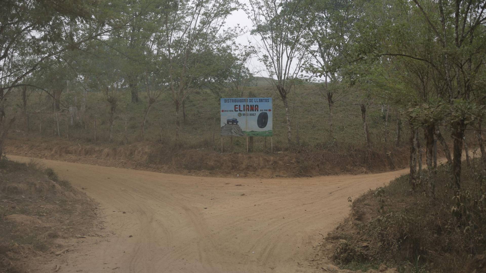 $!Aunque las narcocarreteras conectan a comunidades aisladas, el problema es que una vez una brecha se inicia no para. De una u otra manera, estas actividades acaban en deforestación sin control.