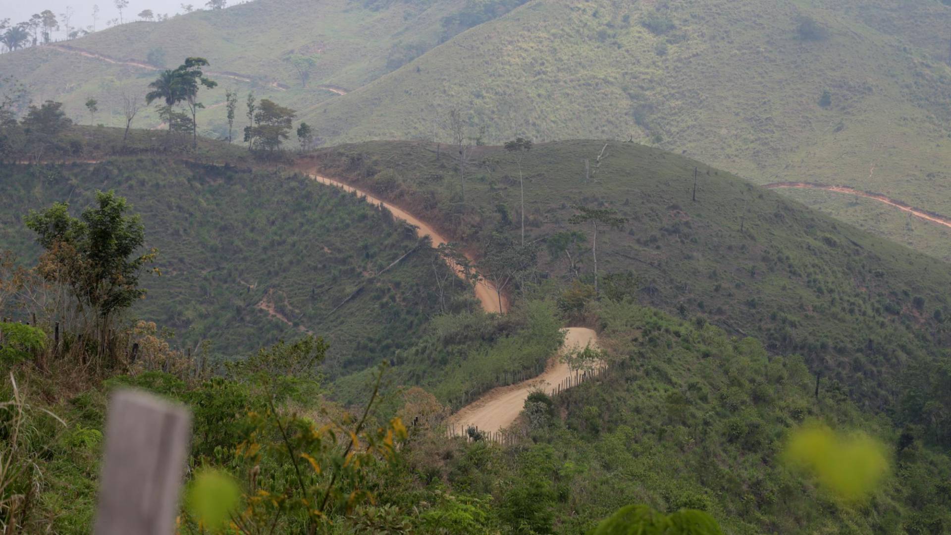 $!Al costado de todas las narcocarreteras los terrenos ya están cercados, algunos convertidos en potreros; otros listos para deforestar y quemar para el cambio de suelo.