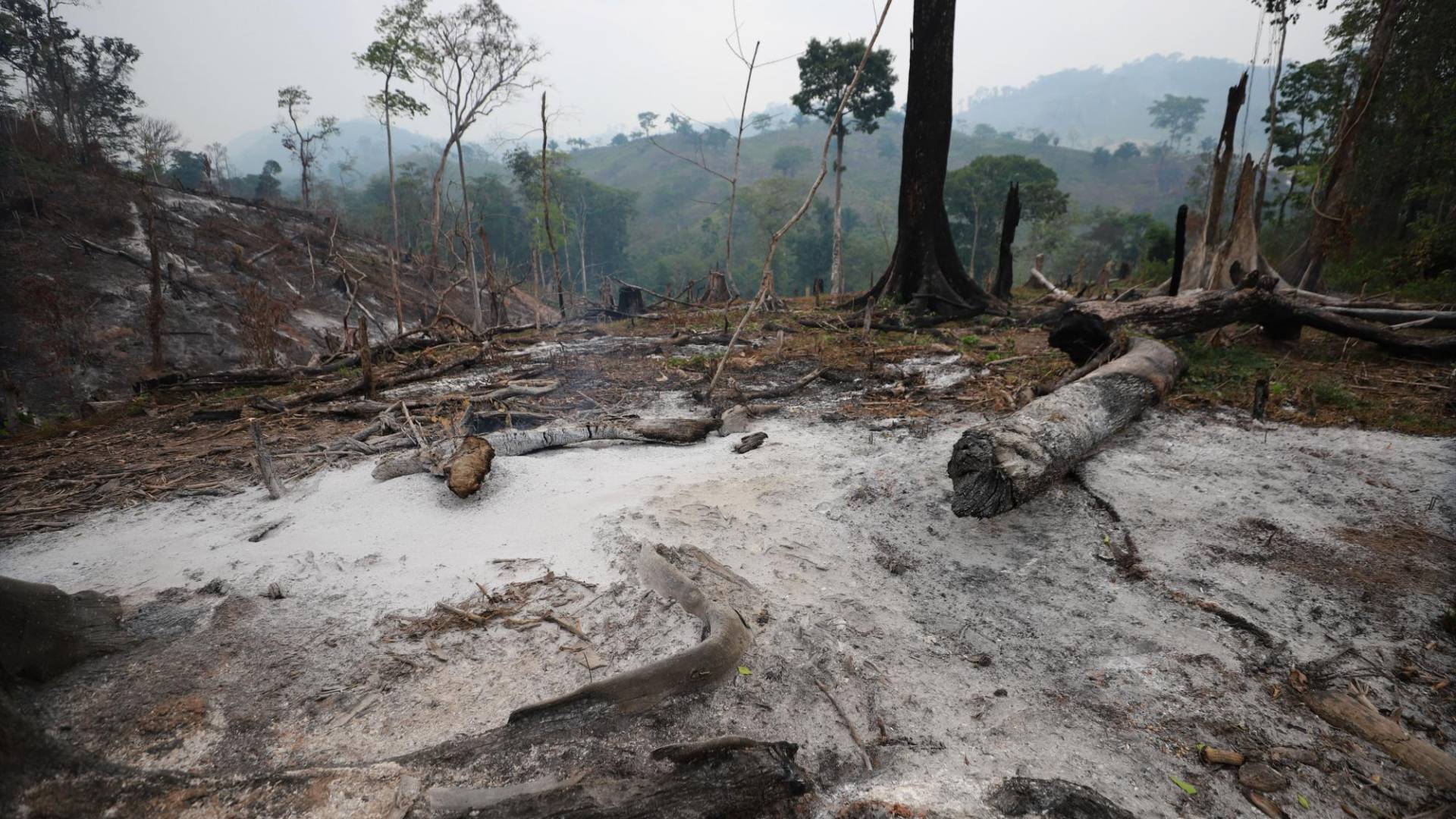 $!La Unidad Investigativa de EL HERALDO Plus evidenció que la zona núcleo de la Biosfera del Río Plátano presenta daños por incendios y deforestación