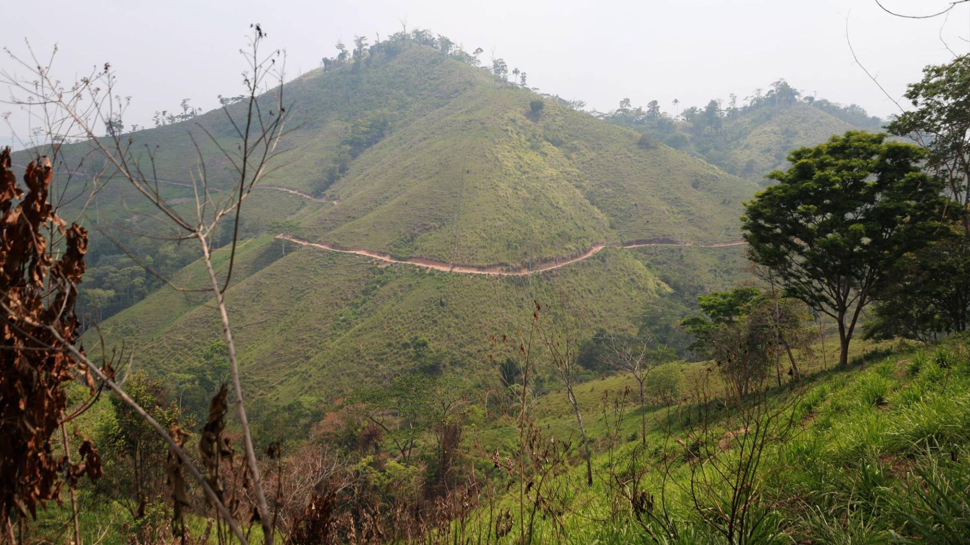 $!Por la mitad de una montaña que antes tuvo vegetación y ahora solo tiene potreros pasa otra de las carreteras clandestinas de la Reserva de la Biósfera del Río Plátano.