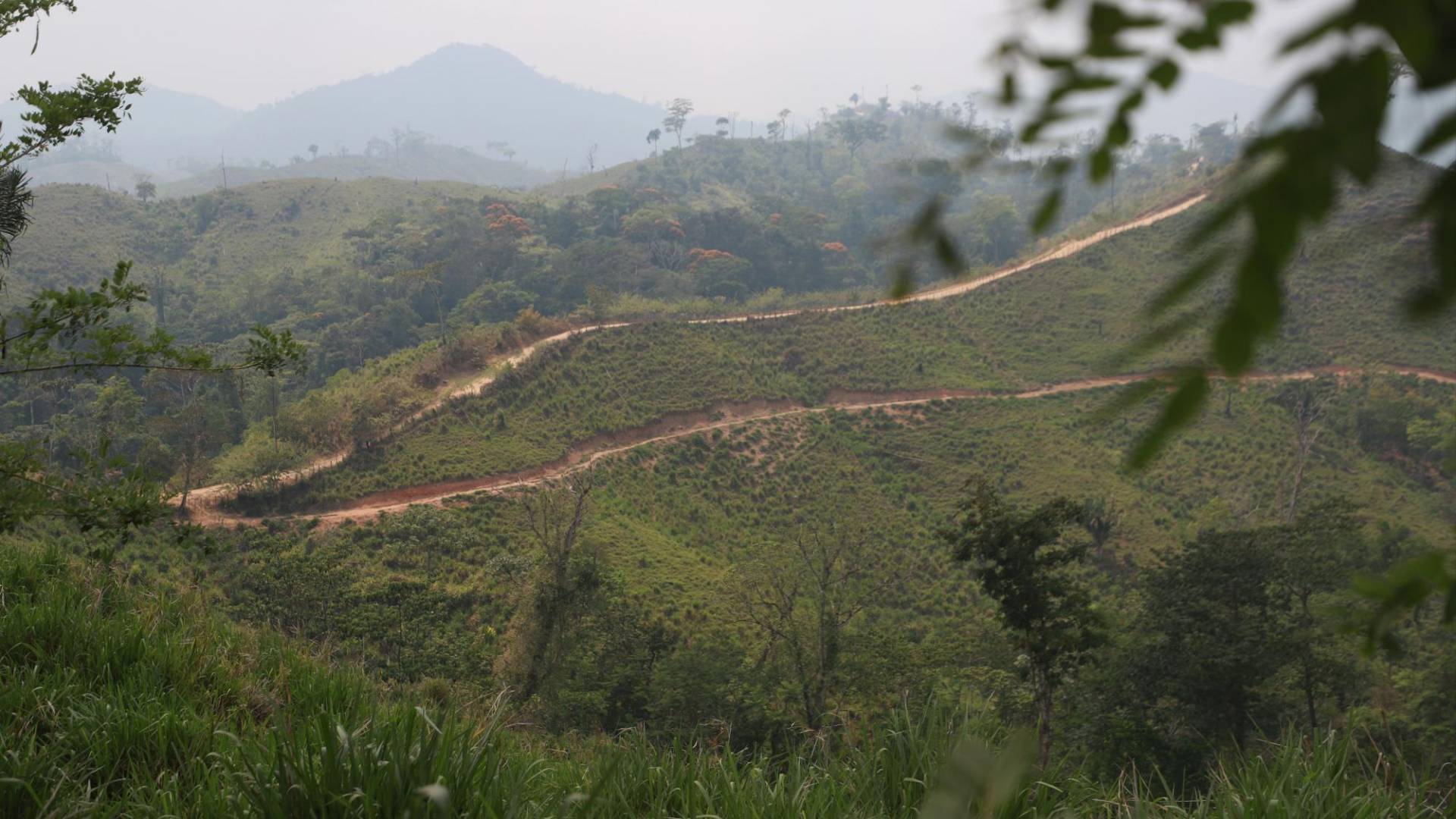 $!La ruta de acceso de los narcoganaderos a la zona núcleo de la Biósfera del Río Plátano es a través de decenas carreteras.