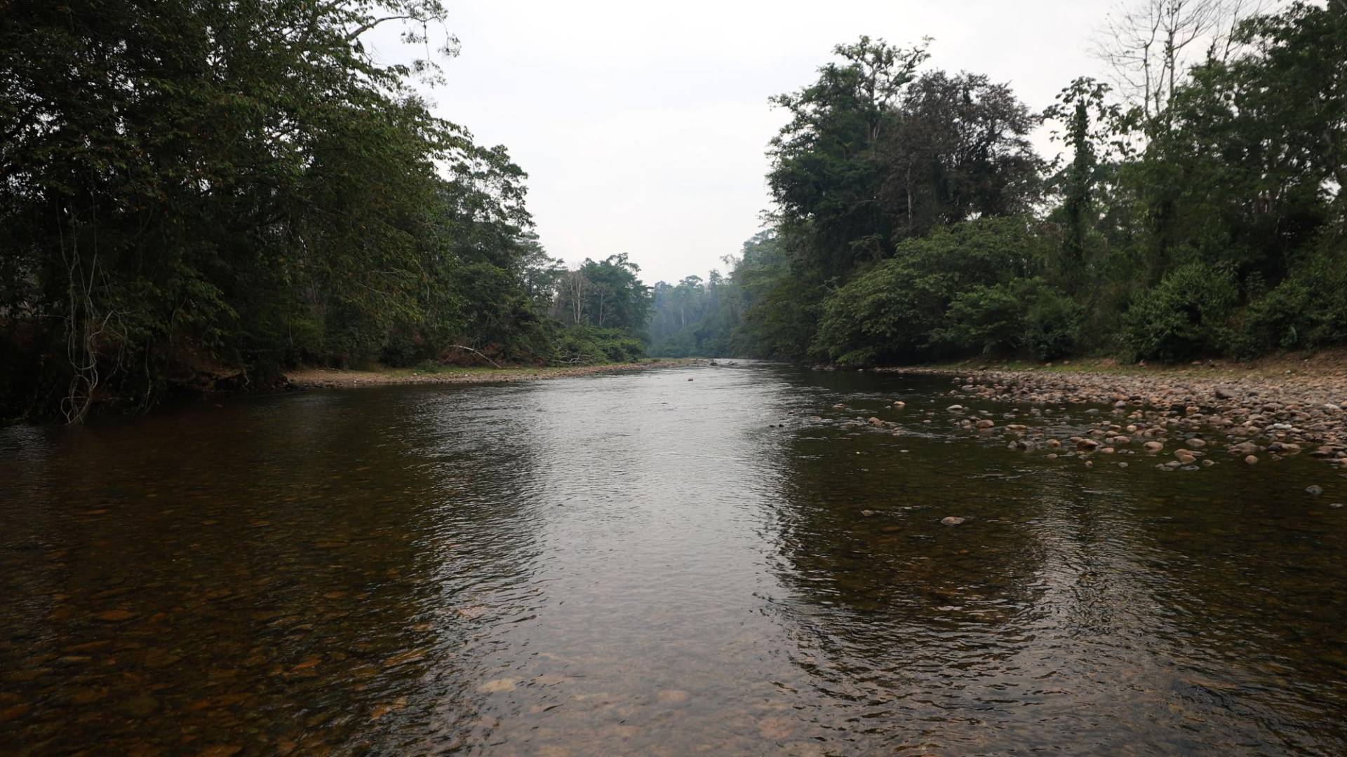 $!Con la disminución de los caudales se incrementan las aperturas por los ríos para allanar la ruta de las narcocarreteras en la Biósfera del Río Plátano.