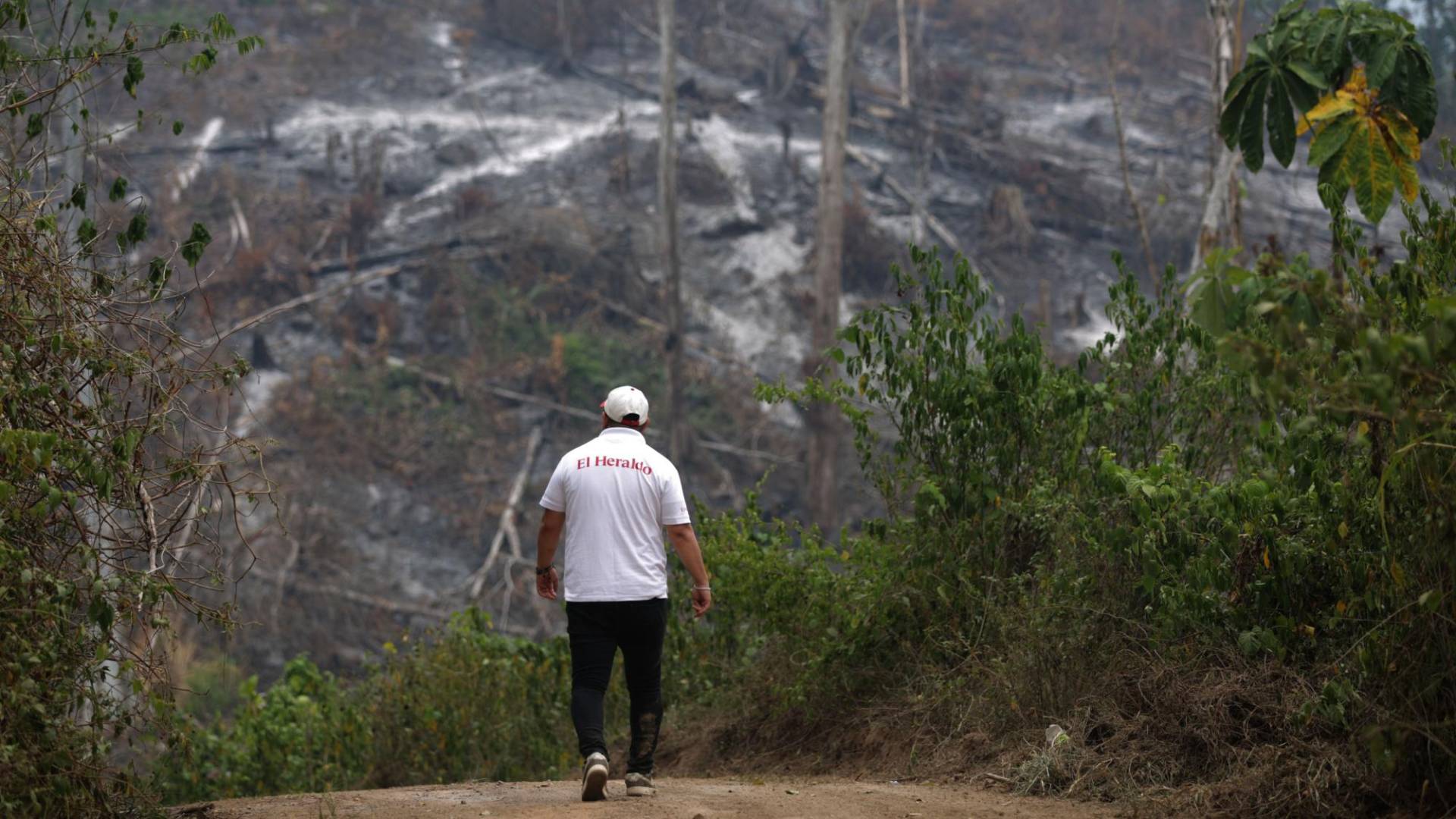 $!Al fondo se puede ver un incendió que recién arrasó con cientos de árboles en la zona núcleo de la Reserva de la Biósfera del Río Plátano.