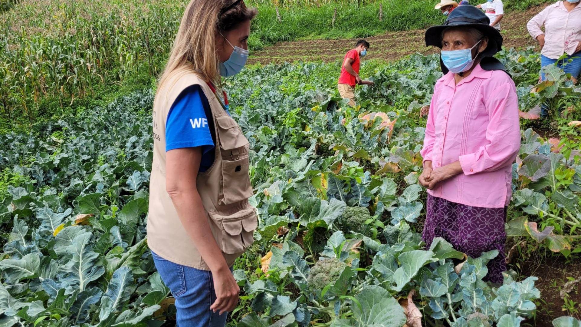 $!Según el PMA, uno de los retos de la merienda escolar es que vegetales sean negociados con productores locales para dinamizar la economía.