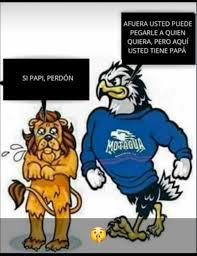 Destrozan al Olimpia con divertidos memes tras título de Motagua