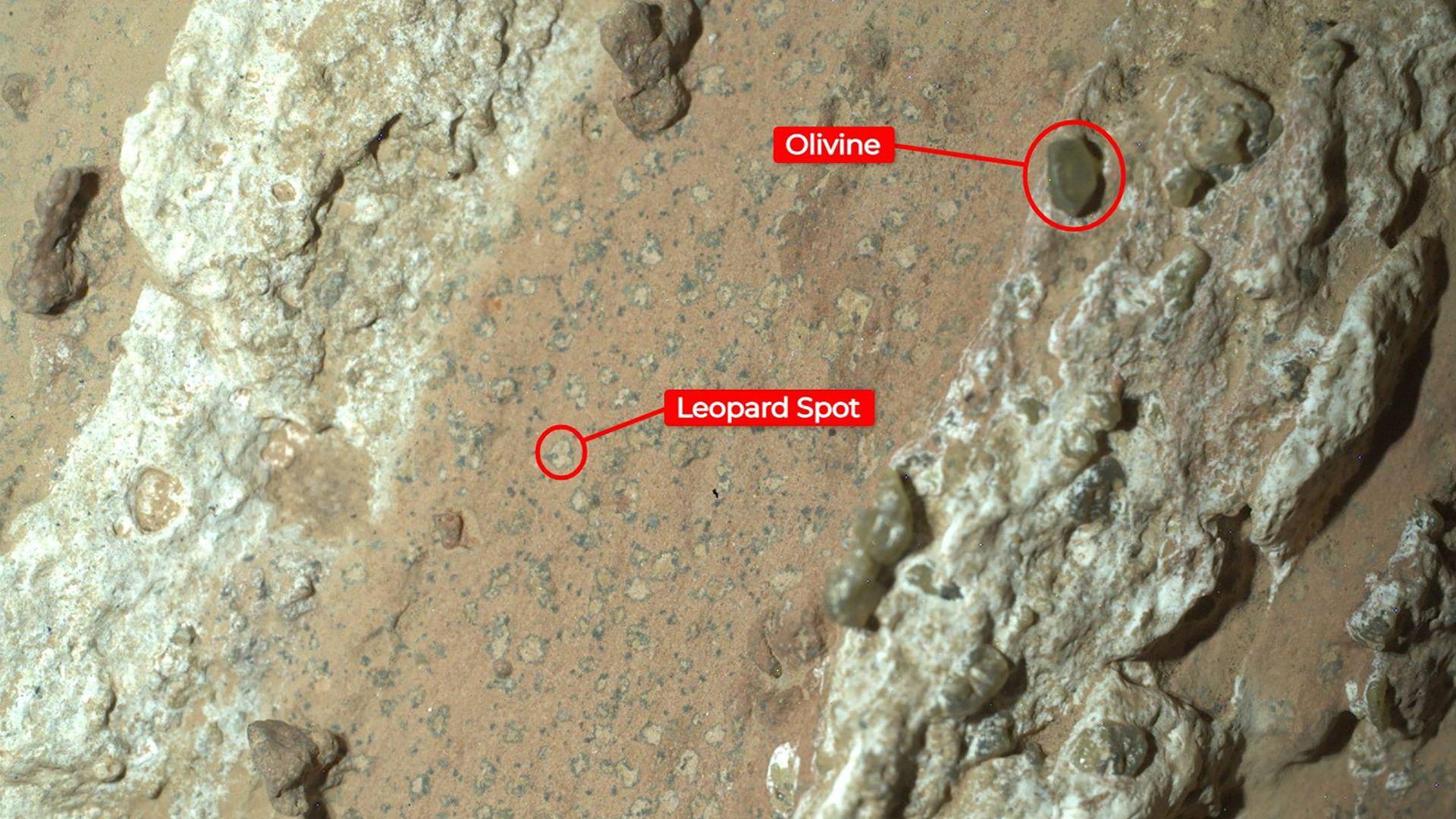 $!El rover Perseverance de la NASA capturó en Marte esta imagen de la roca Cataratas Cheyava el 18 de julio. (NASA/JPL-Caltech/MSSS)