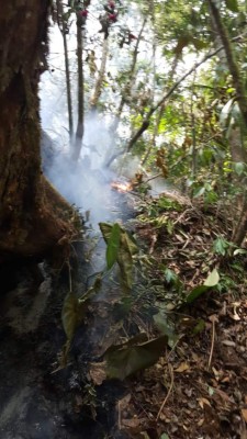 Las primeras imágenes del incendio forestal en la montaña Pico Bonito