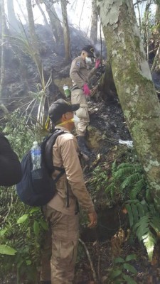 Las primeras imágenes del incendio forestal en la montaña Pico Bonito