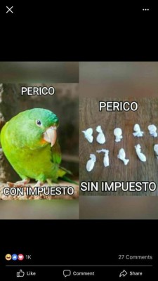 Los divertidos memes que generó el registro de aves silvestres en Honduras