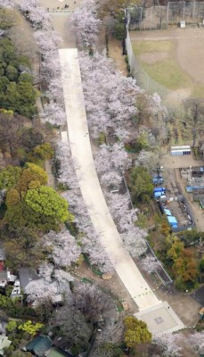 FOTOS: Sitios que en otro momento llenamos ahora lucen vacíos por cuarentena 