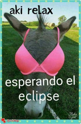 Honduras no pudo ver bien el eclipse solar, pero los memes inundaron las redes