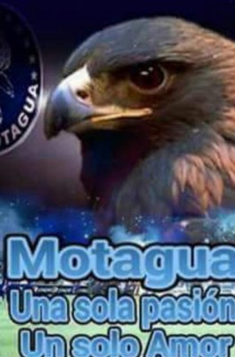 Divertidos memes celebran el triunfo de Motagua ¡tienen la 14!