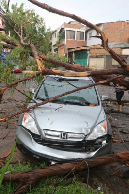 Fotos: Fuertes lluvias azotaron calles y avenidas de la capital de Honduras