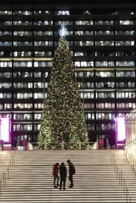 Coloridas luces tratan de darle algo de brillo a una Navidad que será muy distinta