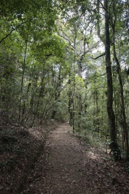 Lugares turístico cerca de Tegucigalpa que puedes visitar en la Semana Morazánica