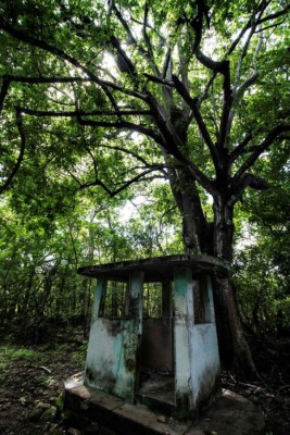 Maltrato, hambre y abusos sexuales, la oscura historia de la isla de los hombres solos (FOTOS)  