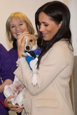 Meghan Markle se encariña de un perro en su visita a un refugio de animales