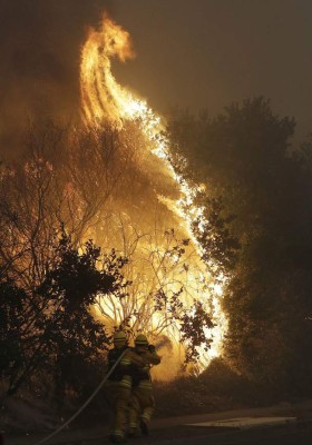 Fotos: Las impactantes imágenes que dejó en incendio en zona vinícola de California, EEUU