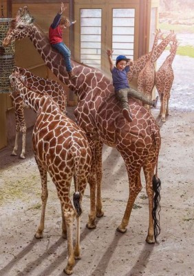 Experto en Photoshop convierte las fotos de su hijo en obra de arte