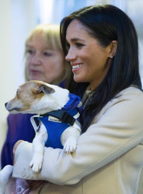 Meghan Markle se encariña de un perro en su visita a un refugio de animales