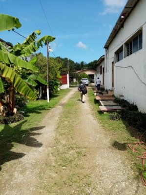 FOTOS: Aseguran más bienes a socios de los Valle Valle en el norte de Honduras