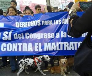 Varios de los manifestantes llevaron a sus mascotas. (Foto: Estalin Irías)