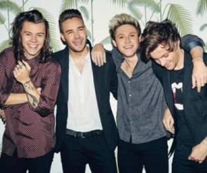 Fanáticas de One Direction saturan la red con #GoodbyeModest.