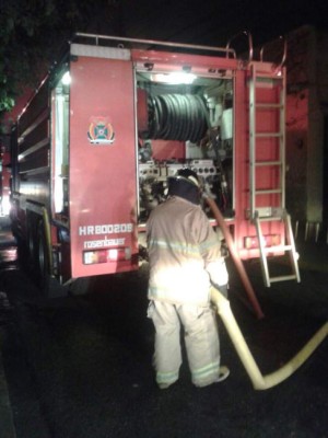 Las imágenes más impactantes del voraz incendio en el Museo del Hombre Hondureño