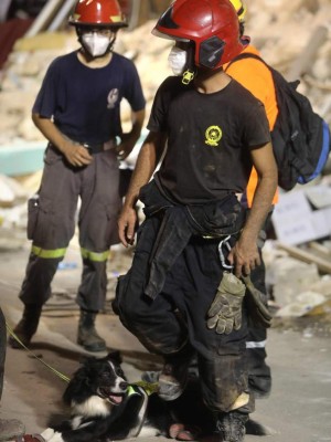 FOTOS: Suspenden búsqueda de sobrevivientes en Beirut tras explosión