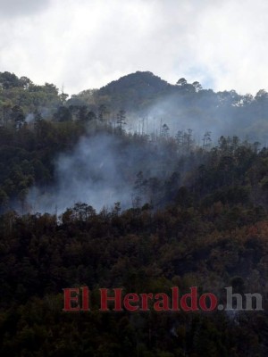 FOTOS: Así luce el cerro Upare tras voraz incendio que duró tres días