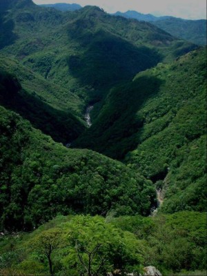 Biósfera de San Marcos de Colón y su cautivadora belleza natural que adorna Honduras