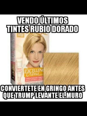 Los mejores memes del triunfo de Donald Trump en EEUU