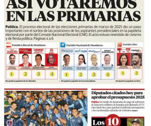 Así votaremos en las primarias