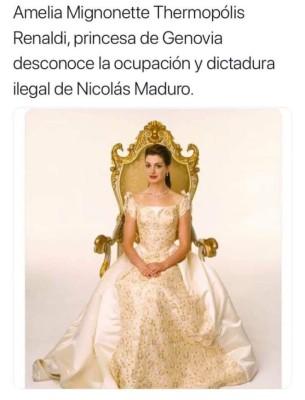 Los mejores memes sobre El Diario de la Princesa 3