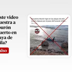 Captura de pantalla a una publicación de Facebook hecha el 17 de noviembre de 2024, adaptada a esta cartela.