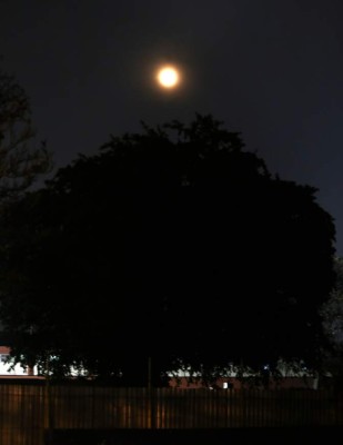 La hermosa luna que ilumina las noches de Tegucigalpa   