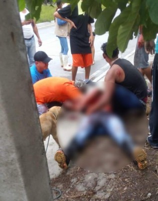 FOTOS: Lo que no se vio del violento desalojo en bordos de río Blanco, San Pedro Sula