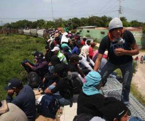 La mayoría de hondureños que viajan hacia Estados Unidos mueren al caer de “la bestia”.